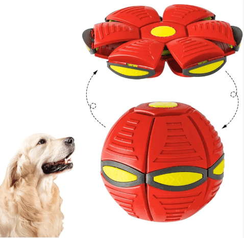 Magic UFO Dog Ball - Y Files