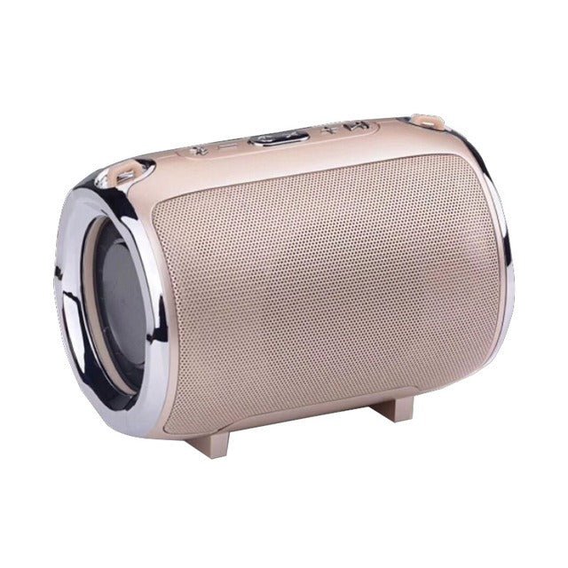 Portable Anti-Fall Bluetooth Speaker with Subwoofer - Y Files