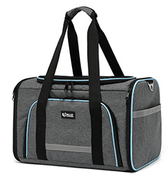 Portable One-Shoulder Folding Pet Carrier Bag - Y Files