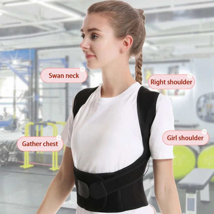 Adjustable Back Posture Brace for Office and Gym Use - Y Files