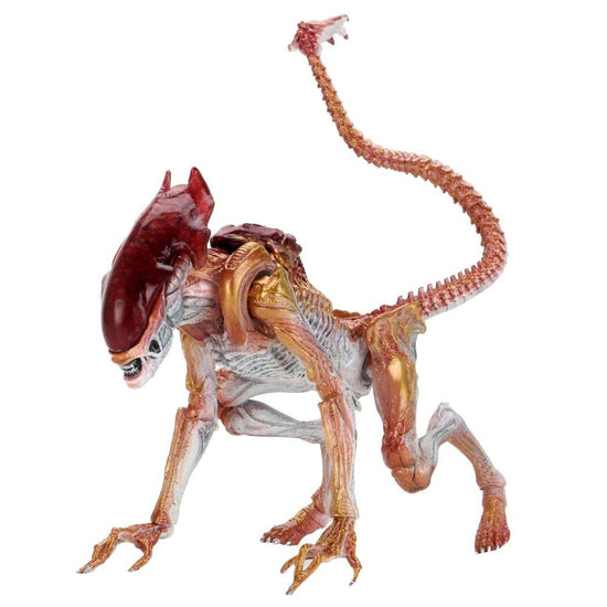 Aliens: Kenner Tribute Ultimate Panther Alien 7" Action Figure - Y Files