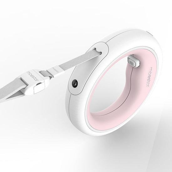 Luminous Retractable Dog Walking Rope by Meng Wangxing - Y Files