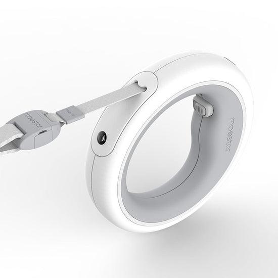 Luminous Retractable Dog Walking Rope by Meng Wangxing - Y Files