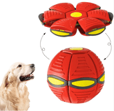Magic UFO Dog Ball - Y Files