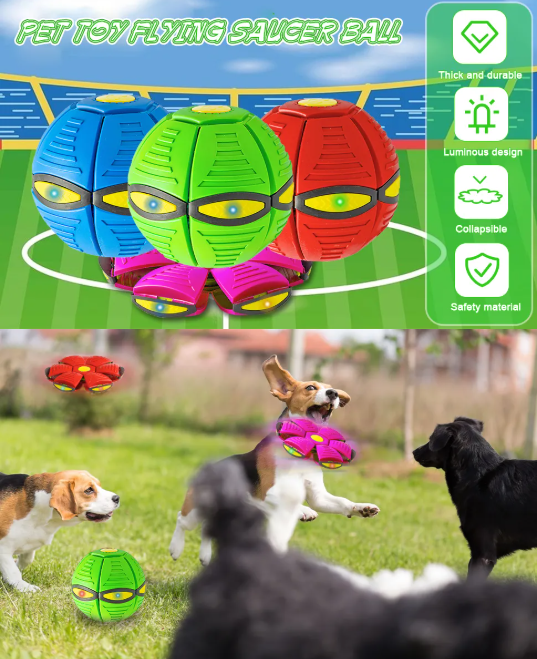 Magic UFO Dog Ball - Y Files