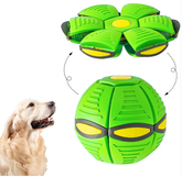 Magic UFO Dog Ball - Y Files