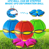 Magic UFO Dog Ball - Y Files