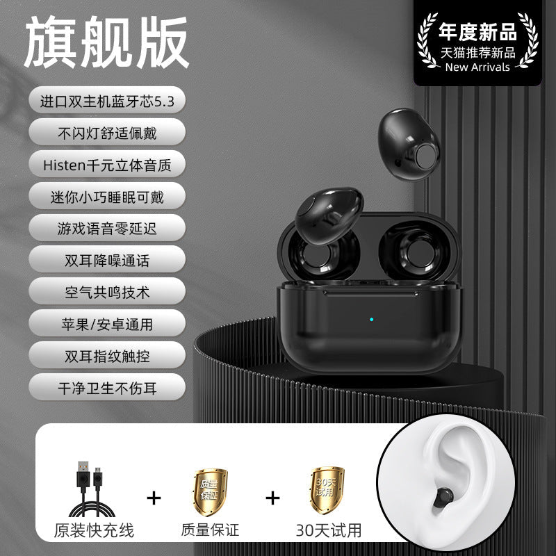 Mini Pro4SS Invisible True Wireless Bluetooth Earbuds - Y Files