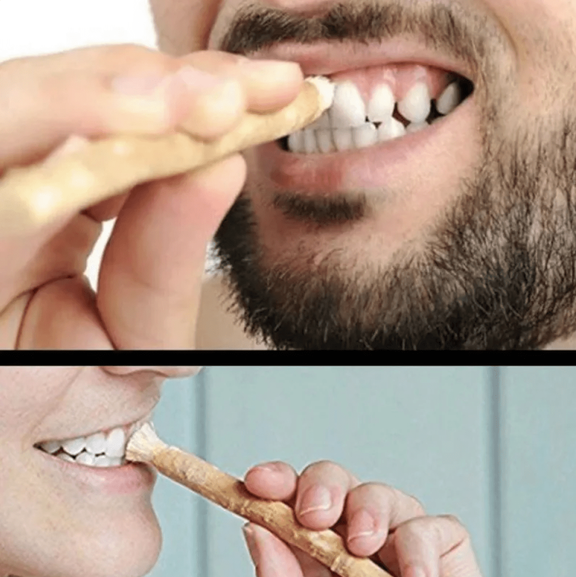 Miswak Tooth Cleaning Stick - Y Files