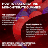 Muscle Boost Gummies - Y Files
