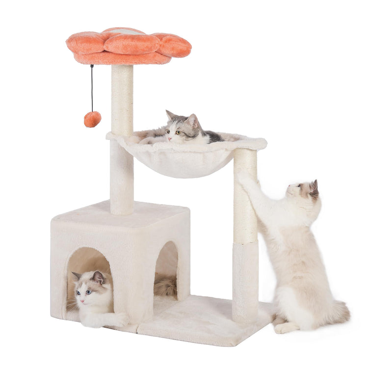 Pawfessor Flower Cat Tree 4 in 1 Cat Scratching Post for Indoor Cats 34" Small Cat Tower for Large Cats with Cat Scratch Posts15.7”Large Hammock Removable Perch and Wide Condo for Indoor Cats-Beige - Y Files