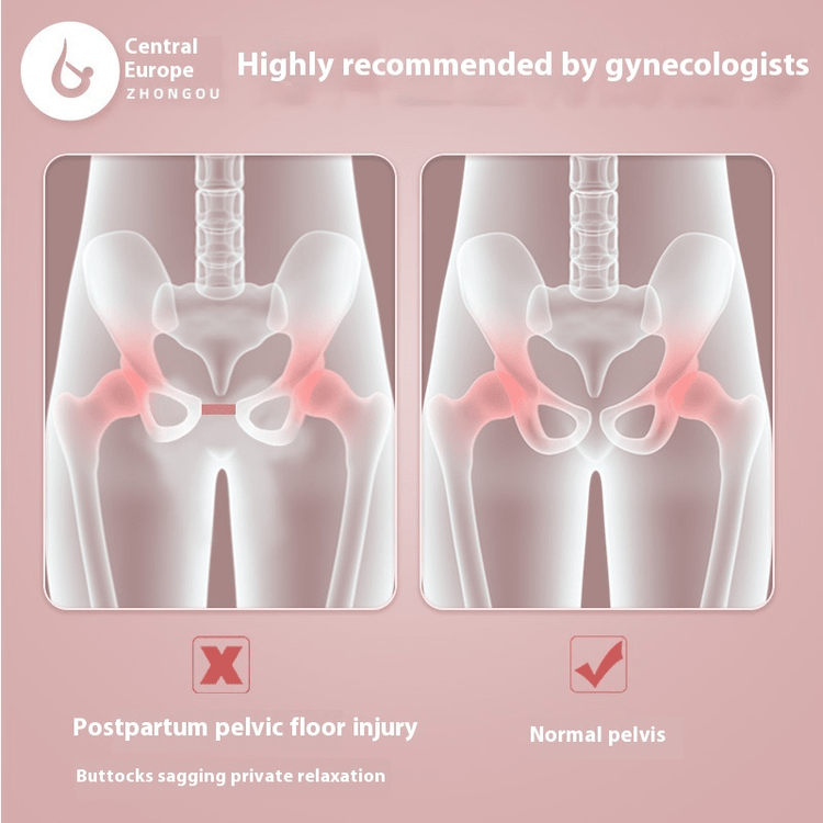 Pelvic Floor Muscle Trainer - Y Files