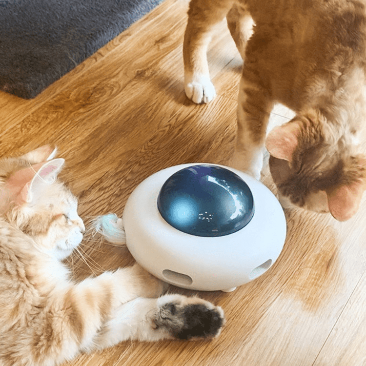 Pet Toy Gravity UFO - Y Files