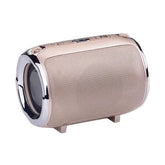 Portable Anti-Fall Bluetooth Speaker with Subwoofer - Y Files