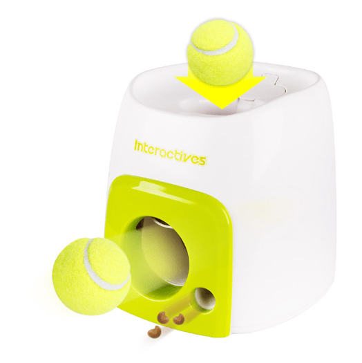 Smart Dog Interactive Feeder with Tennis Ball Reward - Y Files