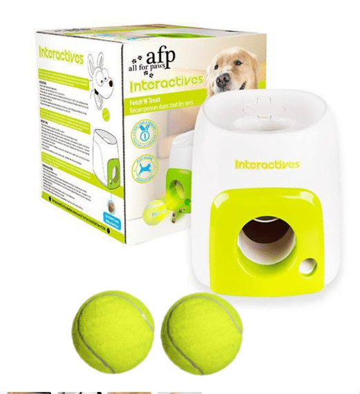 Smart Dog Interactive Feeder with Tennis Ball Reward - Y Files