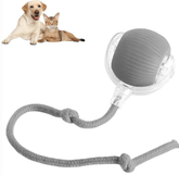 Smart Rolling Pet Ball - Y Files