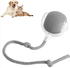 Smart Rolling Pet Ball - Y Files
