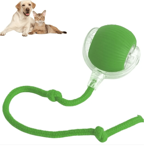 Smart Rolling Pet Ball - Y Files