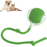 Smart Rolling Pet Ball - Y Files