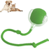 Smart Rolling Pet Ball - Y Files