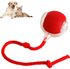 Smart Rolling Pet Ball - Y Files